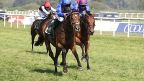 In Paris keine Wallache erwünscht