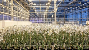 Neue Gentechnik, alte Ängste