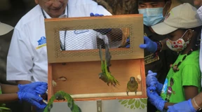 Vom Schwarzmarkt zurück in die Wildnis