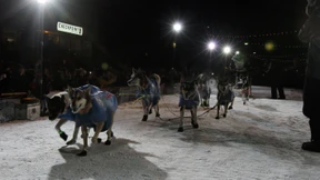 Ein Norweger ist der Schnellste in Alaska