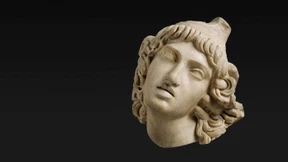 Amazons digitale Rodung