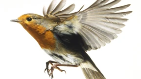 Das Leben ist ein Quantenspiel