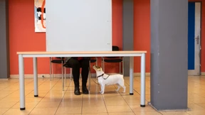 Alles Wichtige zur Landtagswahl in Niedersachsen