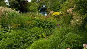 Petra Pelz komponiert Gärten wie Bilder