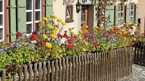 Mieter verzweifelt gesucht