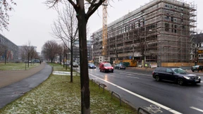 Büffeln im früheren Bürohaus