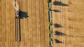 Bauern scheuen Kosten einer Dürre-Versicherung
