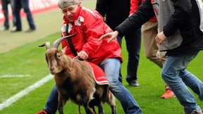 Aalen bremst die „Geißböcke“ ein