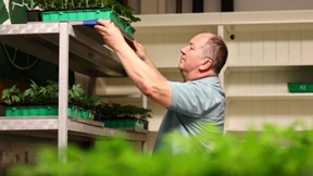 Mit Pferdewippen gegen den Anbauklub