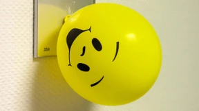 Alle happy – oder was?