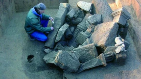 Wohnungen statt Römerpark in Frankfurt