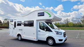 Der diskrete Charme des Nasenbären