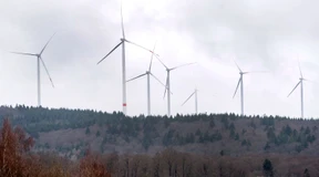 Heute in Rhein-Main: Eine neue Windkraft-Debatte ist in Sicht