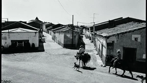 Rosa lebt hier schon lange nicht mehr