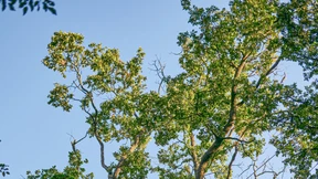 Kleine Politik für eine große Stadt