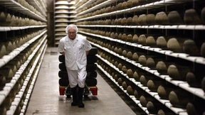 Der Käse aus der Unterwelt