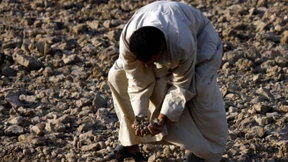 Daran verzweifeln die Bauern im Irak