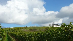 Siegfrieds Wein und Kriemhilds Schuld