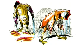 Mit Trump in die Traufe