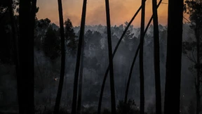 Portugal kämpft gegen Waldbrände