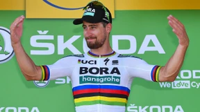 Der Sonnenkönig der Tour de France