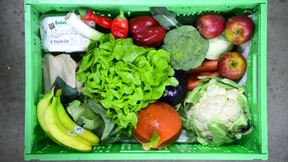 Der Boom der Biokiste