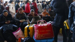 Flucht im Zeichen des Schafs