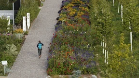 Sombrero-Hüte und Handystrom aus Urin