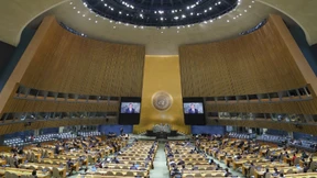 Wie viele UN-Staaten verurteilen die russischen Annexionen?