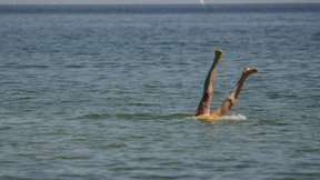 Das erwartet deutsche Touristen in Europa