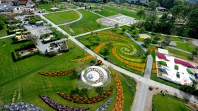 Eine Stadt blüht auf