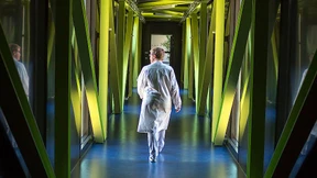 Warum bricht die Geflügelpest heute noch so oft aus?