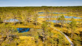 Eine Insel zum Glück