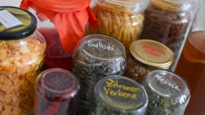 Die Fastensaison steht vor der Tür