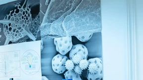 Krise drückt Stimmung der Chemiemanager