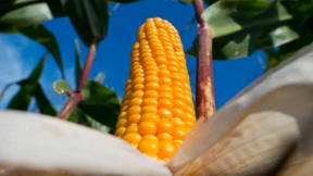 Biolandwirte und Fortschritt?