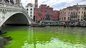 Wasser in Venedig grün verfärbt