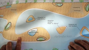 Streit um die Heilige Makrele