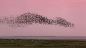 Kopf hoch, sie kommen!