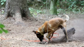 Polizei rollt Mord an Schülerin wieder auf