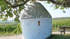 Unterschlupf mit Aussicht