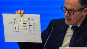 WHO: Alles deutet auf Fledermäuse als Corona-Ursprung hin