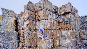 Der Mann, der im Papier tauchte