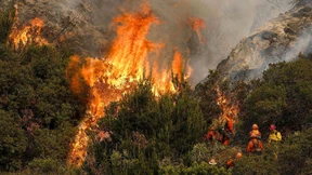 Feuerwehr dämmt Buschfeuer bei Los Angeles weiter ein
