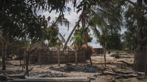 Terror in der Tropen-Idylle