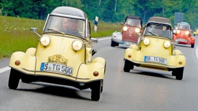 Das Knattern der Königstiger