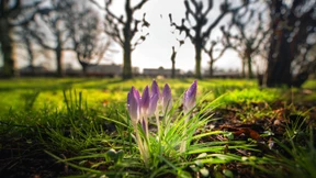 Zu warm, zu nass und zu düster