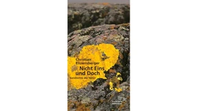 Größerer Versuch über den Stein