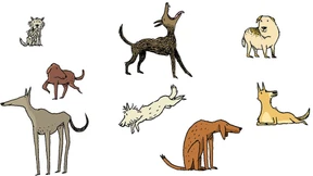 Mit Spürnase Percy auf Personensuche