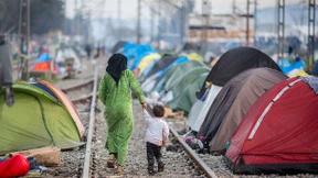 Internationaler Schleuserring mit Großrazzia zerschlagen